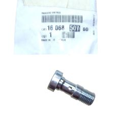 Μπουλόνι Νέο Γνήσιο 1606850780 Citroen Peugeot