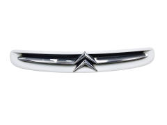 Μάσκα Ψυγείου 7804J7 9632099177 Citroen Xsara Picasso 99-03 1030