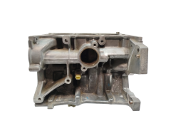 Μπλοκ Κινητήρα 110112160R 0.9 TCE H4BA400 Renault Dacia