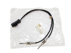Αισθητήρας Θερμοκρασίας Καυσαερίων Citroen Peugeot 9807562780 QPlus