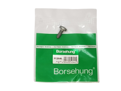Μπουλόνι N91096702 B10646 VW Audi Seat Skoda Borsehung