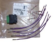 Βύσμα Νέο Γνήσιο 1617550580 Citroen Peugeot