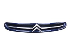 Μάσκα Ψυγείου 7804J7 9632099177 Citroen Xsara Picasso 99-03 1013