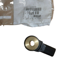 Αισθητήρας Κρουστικής Καύσης Γνήσιο Citroen Peugeot C2 C3 206 1920FR