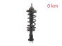 Αμορτισέρ Εμπρός 543023828R 540100864R 93463333 Renault Trafic 3 2.0 DCI