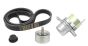 Εντατήρας Ιμάντα Κίνησης Γνήσιο Ren Master Laguna Espace 2.0-2.3 dCi 8200941086