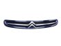 Μάσκα Ψυγείου 7804J7 9632099177 Citroen Xsara Picasso 99-03 1013
